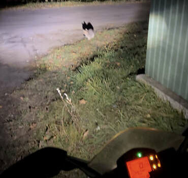 Белый КТМ RC 390, объемом двигателя 0.37 л и пробегом 30 тыс. км за 3333 $, фото 4 на Automoto.ua