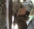 Черный Кайзер САФ, объемом двигателя 0 л и пробегом 100 тыс. км за 8500 $, фото 13 на Automoto.ua