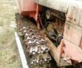 КамАЗ 4310, об'ємом двигуна 10.85 л та пробігом 0 тис. км за 2898 $, фото 8 на Automoto.ua
