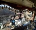 Сірий КамАЗ 53212, об'ємом двигуна 0 л та пробігом 1000 тис. км за 6000 $, фото 9 на Automoto.ua