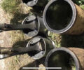 КамАЗ 53215 2024 у Кропивницькому (Кіровограді) на Automoto.ua КамАЗ 53215, об'ємом двигуна 0 л та пробігом 1000 тис. км за 7500 $, фото 11 на Automoto.ua