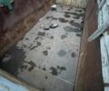 Белый КамАЗ 55102, объемом двигателя 10.85 л и пробегом 1 тыс. км за 12000 $, фото 38 на Automoto.ua