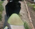 Кануни Другая, объемом двигателя 49 л и пробегом 0 тыс. км за 388 $, фото 2 на Automoto.ua