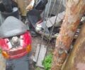 Кануні Інша, об'ємом двигуна 49 л та пробігом 0 тис. км за 146 $, фото 2 на Automoto.ua