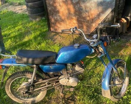 Карпаты Дельта, объемом двигателя 0 л и пробегом 1 тыс. км за 167 $, фото 3 на Automoto.ua