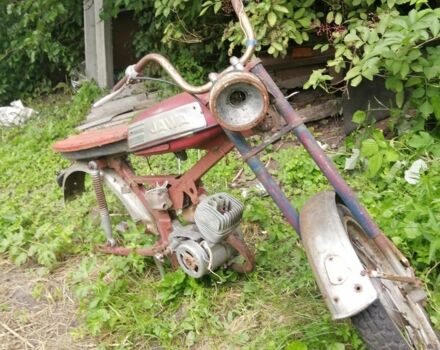 Карпаты Другая, объемом двигателя 49 л и пробегом 0 тыс. км за 83 $, фото 8 на Automoto.ua