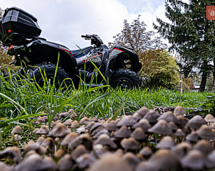 Кавасакі Brute Force  , об'ємом двигуна 0.75 л та пробігом 0 тис. км за 16329 $, фото 42 на Automoto.ua