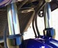 Синий Кавасаки ГПЗ, объемом двигателя 0.5 л и пробегом 63 тыс. км за 2400 $, фото 5 на Automoto.ua