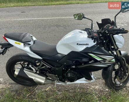 Белый Кавасаки З, объемом двигателя 0.25 л и пробегом 14 тыс. км за 3499 $, фото 3 на Automoto.ua