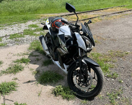 Белый Кавасаки З, объемом двигателя 0.25 л и пробегом 14 тыс. км за 3499 $, фото 4 на Automoto.ua