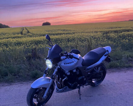 Серый Кавасаки ЗР, объемом двигателя 0.75 л и пробегом 47 тыс. км за 3099 $, фото 1 на Automoto.ua