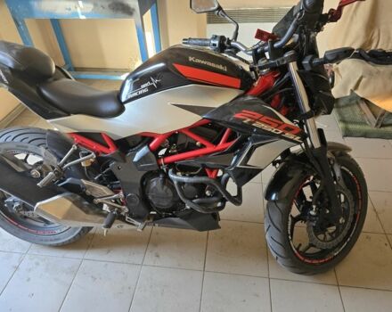 Кавасакі Інша, об'ємом двигуна 0 л та пробігом 0 тис. км за 2600 $, фото 5 на Automoto.ua