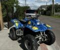 Кавасакі Інша, об'ємом двигуна 0.3 л та пробігом 0 тис. км за 1750 $, фото 1 на Automoto.ua