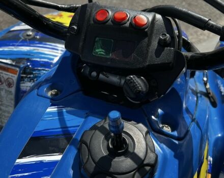 Кавасакі Інша, об'ємом двигуна 0.3 л та пробігом 0 тис. км за 1750 $, фото 8 на Automoto.ua
