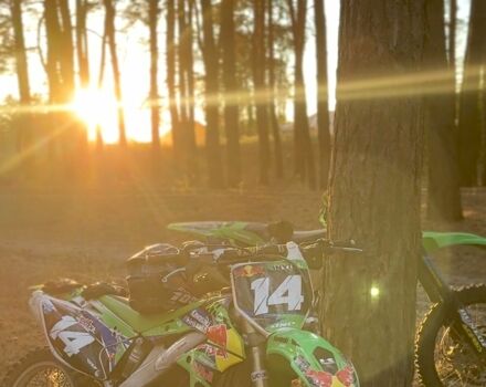 Кавасакі Інша, об'ємом двигуна 0.25 л та пробігом 0 тис. км за 2300 $, фото 4 на Automoto.ua