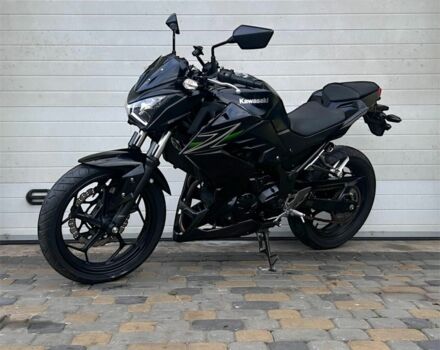 Кавасаки Другая, объемом двигателя 0.25 л и пробегом 0 тыс. км за 3500 $, фото 1 на Automoto.ua