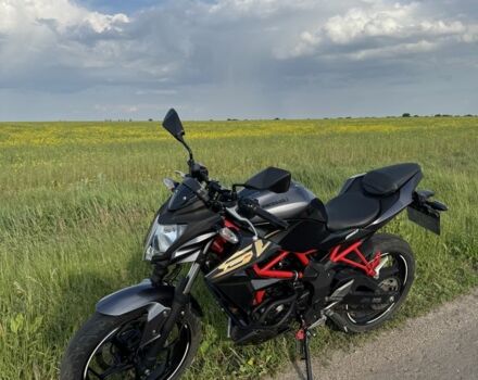 Кавасакі Інша, об'ємом двигуна 0.25 л та пробігом 0 тис. км за 3650 $, фото 4 на Automoto.ua