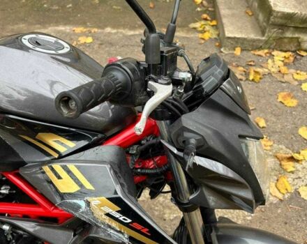 Кавасакі Інша, об'ємом двигуна 0.25 л та пробігом 0 тис. км за 2500 $, фото 2 на Automoto.ua