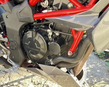 Кавасакі Інша, об'ємом двигуна 0.25 л та пробігом 0 тис. км за 2900 $, фото 4 на Automoto.ua