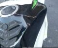 Кавасакі Інша, об'ємом двигуна 0.6 л та пробігом 0 тис. км за 3000 $, фото 14 на Automoto.ua