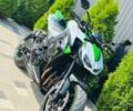 Кавасакі Інша, об'ємом двигуна 1 л та пробігом 0 тис. км за 4950 $, фото 13 на Automoto.ua
