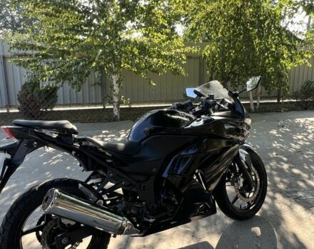 Кавасакі Інша, об'ємом двигуна 0.25 л та пробігом 0 тис. км за 1000 $, фото 1 на Automoto.ua