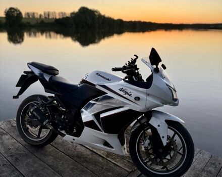 Кавасакі Інша, об'ємом двигуна 0.25 л та пробігом 0 тис. км за 2036 $, фото 4 на Automoto.ua