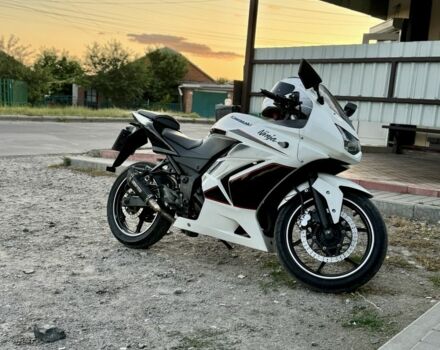 Кавасакі Інша, об'ємом двигуна 0.25 л та пробігом 0 тис. км за 2036 $, фото 5 на Automoto.ua