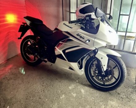 Кавасакі Інша, об'ємом двигуна 0.25 л та пробігом 0 тис. км за 2036 $, фото 1 на Automoto.ua