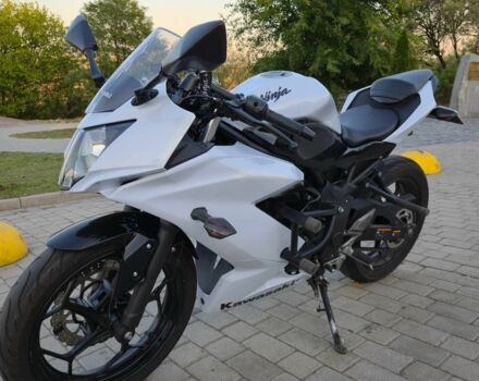 Кавасаки Другая, объемом двигателя 0.25 л и пробегом 0 тыс. км за 2700 $, фото 2 на Automoto.ua