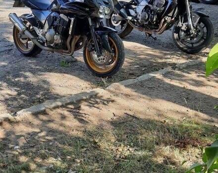 Кавасакі Інша, об'ємом двигуна 0.75 л та пробігом 0 тис. км за 4699 $, фото 4 на Automoto.ua
