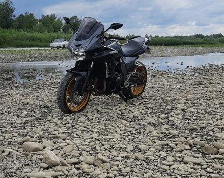 Кавасакі Інша, об'ємом двигуна 0.75 л та пробігом 0 тис. км за 4699 $, фото 1 на Automoto.ua