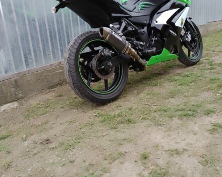 Кавасаки Другая, объемом двигателя 0.25 л и пробегом 0 тыс. км за 3072 $, фото 3 на Automoto.ua