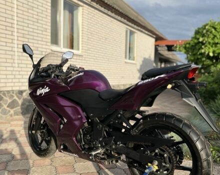 Кавасакі Інша, об'ємом двигуна 0.25 л та пробігом 0 тис. км за 1699 $, фото 5 на Automoto.ua