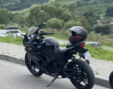 Кавасакі Інша, об'ємом двигуна 0.25 л та пробігом 0 тис. км за 1550 $, фото 3 на Automoto.ua