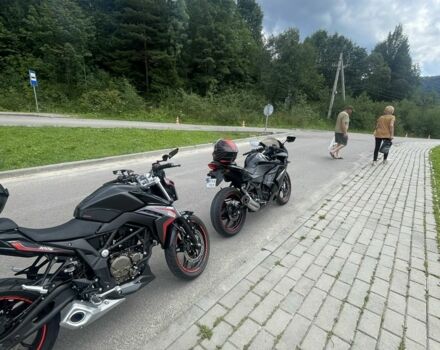 Кавасакі Інша, об'ємом двигуна 0.25 л та пробігом 0 тис. км за 1550 $, фото 5 на Automoto.ua