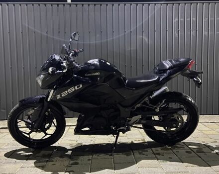 Кавасаки Другая, объемом двигателя 0.25 л и пробегом 0 тыс. км за 3300 $, фото 12 на Automoto.ua