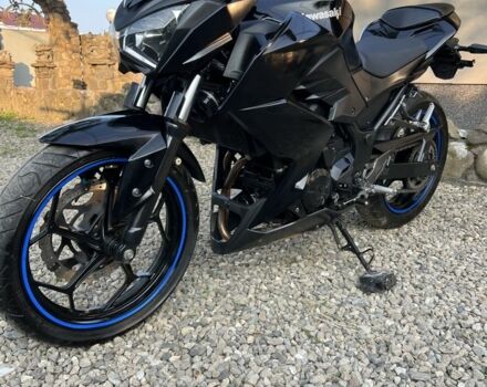 Кавасакі Інша, об'ємом двигуна 0.25 л та пробігом 0 тис. км за 2800 $, фото 3 на Automoto.ua