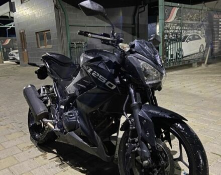 Кавасаки Другая, объемом двигателя 0.25 л и пробегом 0 тыс. км за 3300 $, фото 13 на Automoto.ua