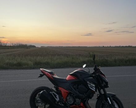 Кавасакі Інша, об'ємом двигуна 0.8 л та пробігом 0 тис. км за 7999 $, фото 1 на Automoto.ua