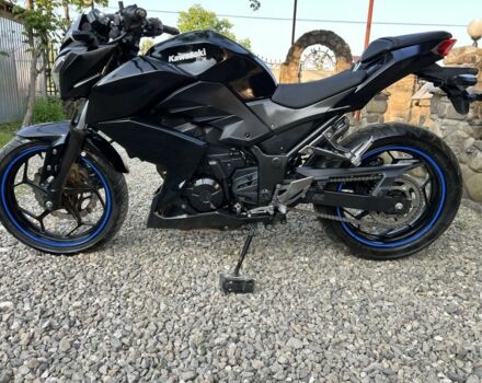 Кавасакі Інша, об'ємом двигуна 0.25 л та пробігом 0 тис. км за 2800 $, фото 2 на Automoto.ua