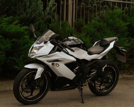 Кавасакі Інша, об'ємом двигуна 0.25 л та пробігом 0 тис. км за 2900 $, фото 4 на Automoto.ua