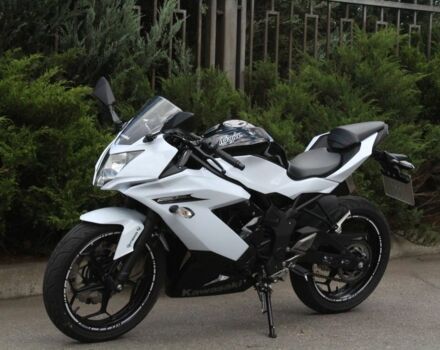 Кавасакі Інша, об'ємом двигуна 0.25 л та пробігом 0 тис. км за 2900 $, фото 3 на Automoto.ua