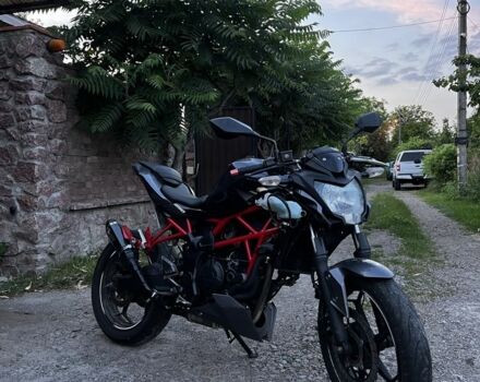 Кавасакі Інша, об'ємом двигуна 0.25 л та пробігом 0 тис. км за 2500 $, фото 7 на Automoto.ua
