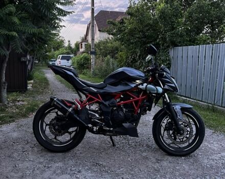 Кавасакі Інша, об'ємом двигуна 0.25 л та пробігом 0 тис. км за 2500 $, фото 2 на Automoto.ua