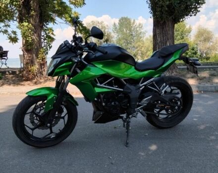 Кавасакі Інша, об'ємом двигуна 0.25 л та пробігом 0 тис. км за 2800 $, фото 2 на Automoto.ua
