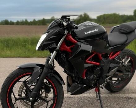 Кавасакі Інша, об'ємом двигуна 0.25 л та пробігом 0 тис. км за 2700 $, фото 3 на Automoto.ua