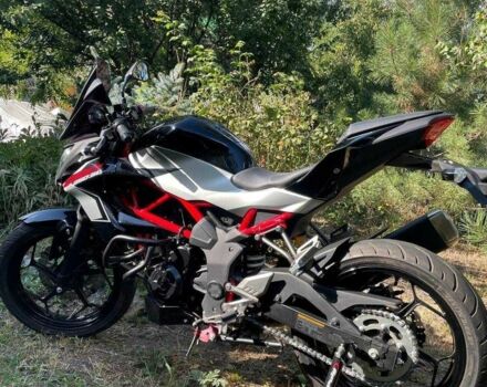 Кавасакі Інша, об'ємом двигуна 0.25 л та пробігом 0 тис. км за 3500 $, фото 2 на Automoto.ua