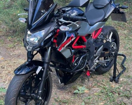 Кавасакі Інша, об'ємом двигуна 0.25 л та пробігом 0 тис. км за 3500 $, фото 8 на Automoto.ua