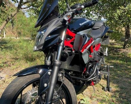 Кавасакі Інша, об'ємом двигуна 0.25 л та пробігом 0 тис. км за 3500 $, фото 3 на Automoto.ua